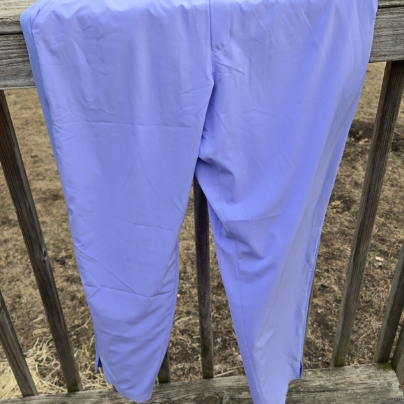 Athleta Brooklyn Ankle Pant, size 18, baby blue - Picture 10 of 10